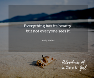 Everything has its beauty, but not everyone sees it. -Andy Warhol